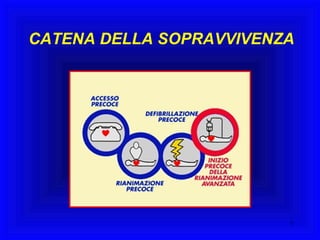 CATENA DELLA SOPRAVVIVENZA 