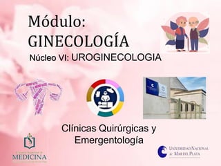 Módulo:
GINECOLOGÍA
Núcleo VI: UROGINECOLOGIA
Clínicas Quirúrgicas y
Emergentología
 