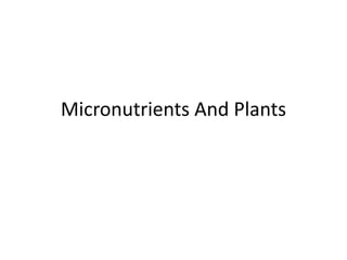 Micronutrients And Plants
 