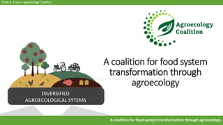 Emile A. Frison– Agroecology Coalition
A coalition for food system transformation through agroecology.
A coalition for food system
transformation through
agroecology
DIVERSIFIED
AGROECOLOGICAL SYTEMS
 