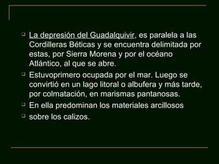 






La depresión del Guadalquivir, es paralela a las
Cordilleras Béticas y se encuentra delimitada por
estas, por Sierra Morena y por el océano
Atlántico, al que se abre.
Estuvoprimero ocupada por el mar. Luego se
convirtió en un lago litoral o albufera y más tarde,
por colmatación, en marismas pantanosas.
En ella predominan los materiales arcillosos
sobre los calizos.

 