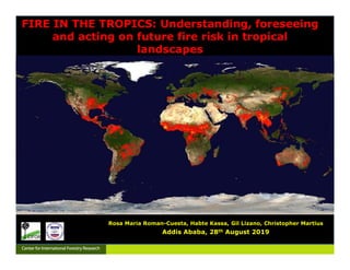 Rosa Maria Roman-Cuesta (R.Roman-Cuesta@cgiar.org)
Rosa Maria Roman-Cuesta, Habte Kassa, Gil Lizano, Christopher Martius
Addis Ababa, 28th August 2019
FIRE IN THE TROPICS: Understanding, foreseeing
and acting on future fire risk in tropical
landscapes
FIRE IN THE TROPICS: Understanding, foreseeing
and acting on future fire risk in tropical
landscapes
 