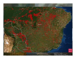 FIRE IN THE TROPICS: Understanding, foreseeing and acting on future fire risk in tropical landscapes 