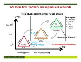 FIRE IN THE TROPICS: Understanding, foreseeing and acting on future fire risk in tropical landscapes 