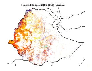 FIRE IN THE TROPICS: Understanding, foreseeing and acting on future fire risk in tropical landscapes 