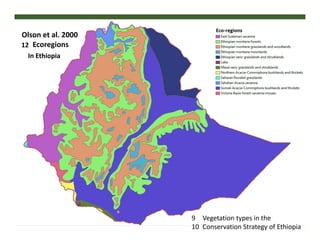 FIRE IN THE TROPICS: Understanding, foreseeing and acting on future fire risk in tropical landscapes 