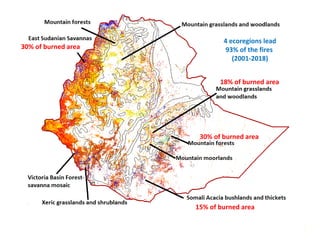 FIRE IN THE TROPICS: Understanding, foreseeing and acting on future fire risk in tropical landscapes 