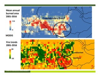 FIRE IN THE TROPICS: Understanding, foreseeing and acting on future fire risk in tropical landscapes 