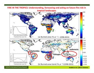 FIRE IN THE TROPICS: Understanding, foreseeing and acting on future fire risk in tropical landscapes 