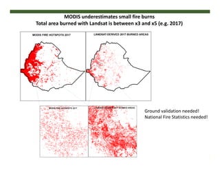 FIRE IN THE TROPICS: Understanding, foreseeing and acting on future fire risk in tropical landscapes 