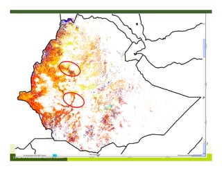 FIRE IN THE TROPICS: Understanding, foreseeing and acting on future fire risk in tropical landscapes 