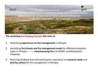 FIRE IN THE TROPICS: Understanding, foreseeing and acting on future fire risk in tropical landscapes 