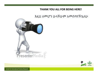 FIRE IN THE TROPICS: Understanding, foreseeing and acting on future fire risk in tropical landscapes 