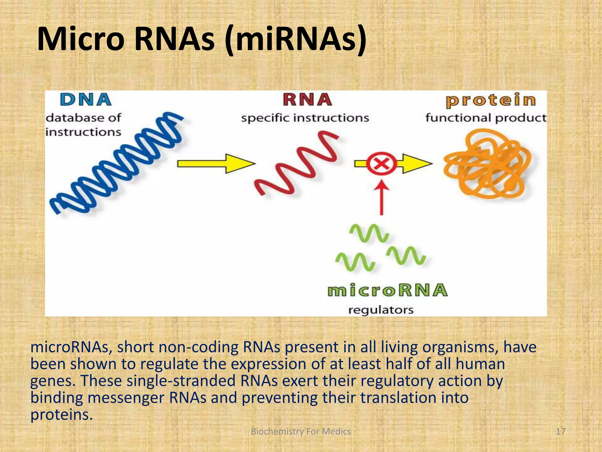 Micro RNAs (miRNAs) 
microRNAs, short non-coding RNAs present in all living organisms, have 
been shown to regulate the expression of at least half of all human 
genes. These single-stranded RNAs exert their regulatory action by 
binding messenger RNAs and preventing their translation into 
proteins. 
Biochemistry For Medics 17 
 