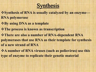 Synthesis 
Synthesis of RNA is usually catalyzed by an enzyme— 
RNA polymerase 
By using DNA as a template 
The process...