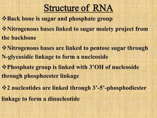 Structure of RNA 
Back bone is sugar and phosphate group 
Nitrogenous bases linked to sugar moiety project from 
the bac...