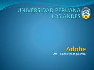 Arq. Rubén Pineda Cabrera 
1 
 