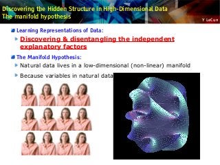 Y LeCun
Discovering the Hidden Structure in High-Dimensional Data
The manifold hypothesis
Learning Representations of Data:
Discovering & disentangling the independent
explanatory factors
The Manifold Hypothesis:
Natural data lives in a low-dimensional (non-linear) manifold
Because variables in natural data are mutually dependent
 