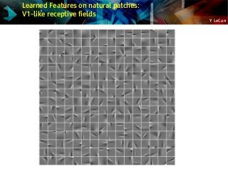 Y LeCun
Learned Features on natural patches:
V1-like receptive fields
 
