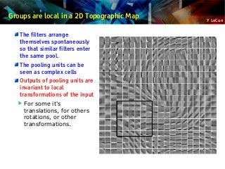Y LeCun
Groups are local in a 2D Topographic Map
The filters arrange
themselves spontaneously
so that similar filters enter
the same pool.
The pooling units can be
seen as complex cells
Outputs of pooling units are
invariant to local
transformations of the input
For some it's
translations, for others
rotations, or other
transformations.
 