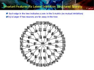 Y LeCun
Invariant Features via Lateral Inhibition: Structured Sparsity
Each edge in the tree indicates a zero in the S matrix (no mutual inhibition)
Sij is larger if two neurons are far away in the tree
 