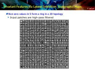 Y LeCun
Invariant Features via Lateral Inhibition: Topographic Maps
Non-zero values in S form a ring in a 2D topology
Input patches are high-pass filtered
 