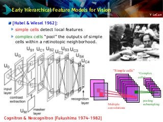 Y LeCun
Early Hierarchical Feature Models for Vision
[Hubel & Wiesel 1962]:
simple cells detect local features
complex cells “pool” the outputs of simple
cells within a retinotopic neighborhood.
Cognitron & Neocognitron [Fukushima 1974-1982]
pooling
subsampling
“Simple cells”
“Complex
cells”
Multiple
convolutions
 