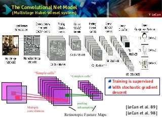 Y LeCun
The Convolutional Net Model
(Multistage Hubel-Wiesel system)
pooling
subsampling
“Simple cells”
“Complex cells”
Multiple
convolutions
Retinotopic Feature Maps
[LeCun et al. 89]
[LeCun et al. 98]
Training is supervised
With stochastic gradient
descent
 