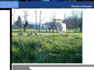 Y LeCun
Detection Examples
 