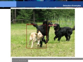 Y LeCun
Detection Examples
 