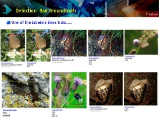 Y LeCun
Detection: Bad Groundtruth
One of the labelers likes ticks.....
 