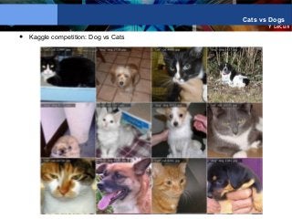 Y LeCun
Cats vs Dogs
● Kaggle competition: Dog vs Cats
 