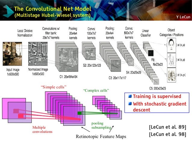 "Convolutional Networks: Unleashing the Potential of Machine Learning ...
