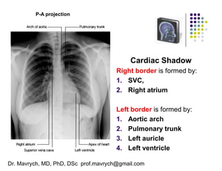 Aortic Shadow 01 Anatomy Shelf Notes.pdf