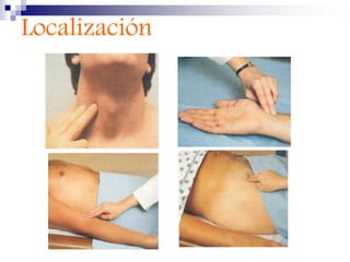 Pulso venoso yugular