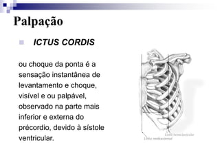 Examine o tórax anterior de modo sistemático