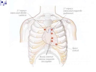 Pulsos ArteriaisIctusCordis