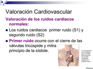 PalpaçãoICTUS CORDISou choque da ponta é asensação instantânea delevantamento e choque,visível e ou palpável,observado na parte maisinferior e externa doprécordio, devido à sístoleventricular.