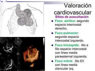 PALPAÇÃOICTUS CORDIS