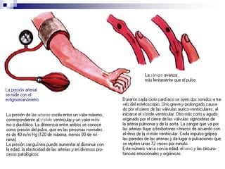 FreqüênciaPALPAÇÃOICTUS CORDIS