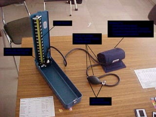 pulsação epigástrica – normal ou patológica