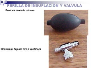 Intensidade aumenta com a compressão da mão que palpa