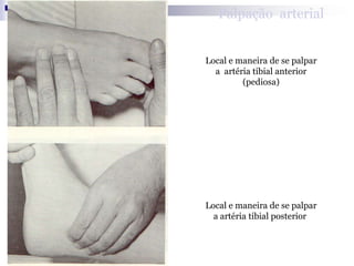 Valoración Cardiovascular Valoración de los ruidos cardiacos anormales:Denominados tercer ruido y cuarto ruido.Tercer ruido se relaciona con rápido movimiento de llenado de los ventrículos al principio de la diástole.  Y a veces se le conoce como galope ventricular.Cuarto ruido se relaciona con el movimiento diastólico, con la dilatación ventricular y la contracción auricular al final de la diástole también se conoce como galope auricular.