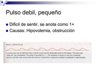 Técnicas de monitoreo cardiovascularExámenes de laboratorio. Electrocardiograma. (ECG ó EKG).Ecocardiograma.Angiografía.Monitorización de presión arterial:Invasiva