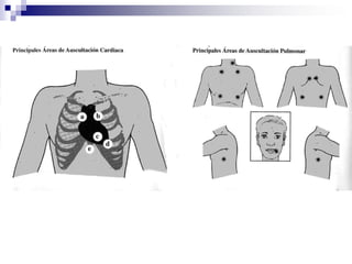 CLASIFICACIÓN DE LA PRESIÓN SANGUÍNEA