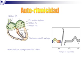 DIAGNÓSTICOSe debe:Evitar realizar ejercicio antes de la medición; Realizar la toma en las mañanas y en ayunas; Descansar mínimo 10 minutos; No tomar café ni fumar al menos media hora; Estar relajado, con el brazo situado a la misma altura que el corazón y sin cruzar las piernas.