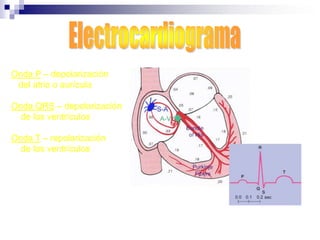 DIAGNÓSTICOLa presión arterial se mide varias veces antes de realizar el diagnóstico. Análisis de muestras de sangre y de orina. Realizar un electrocardiograma.