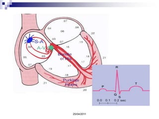 TRATAMIENTOMedidas FarmacológicasDiuréticos, que facilitan la excreción renal de agua y sal reduciendo el trabajo que el corazón debe realizar para bombear la sangre.Betabloqueantes, que reducen el tono cardiaco y favorecen la vasodilatación arterial.Antagonistas de los canales del calcio, que facilitan la vasodilatación arterial y coronaria.Medidas No FarmacológicasDieta pobre en sal, alcohol y grasas totales.Dieta rica en contenido de potasio, calcio, grasas poliinsaturadas, magnesio y fibra.Comer: vegetales verdes, frutas, carne, pollo, atún natural, almendras, avellanas, cítricos, auyama, omega3. 