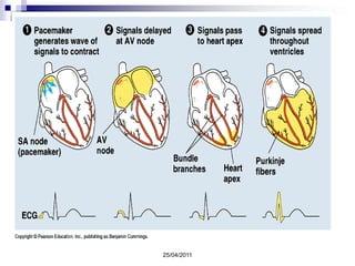 CONDICIONES DEL MEDIO AMBIENTE Lugar tranquilo
