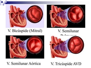 EQUIPO A UTILILIZARCALIBRACION